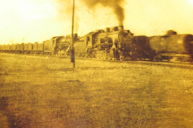 Ahıska Sürgünü'nün 75 yıllık acısı unutulmadı